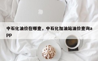 中石化油价在哪查，中石化加油站油价查询app