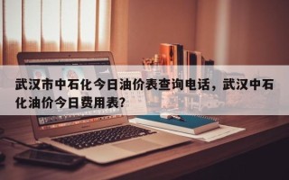 武汉市中石化今日油价表查询电话，武汉中石化油价今日费用表？
