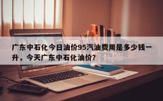 广东中石化今日油价95汽油费用是多少钱一升，今天广东中石化油价？