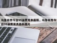 乌鲁木齐今日95油费用表最新，乌鲁木齐今日95油费用表最新图片